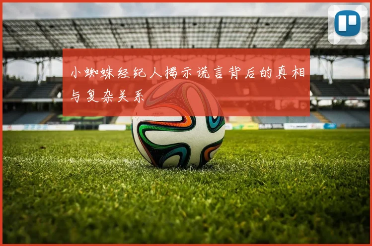 小蜘蛛经纪人揭示谎言背后的真相与复杂关系